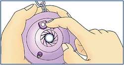 �����\��ާ@